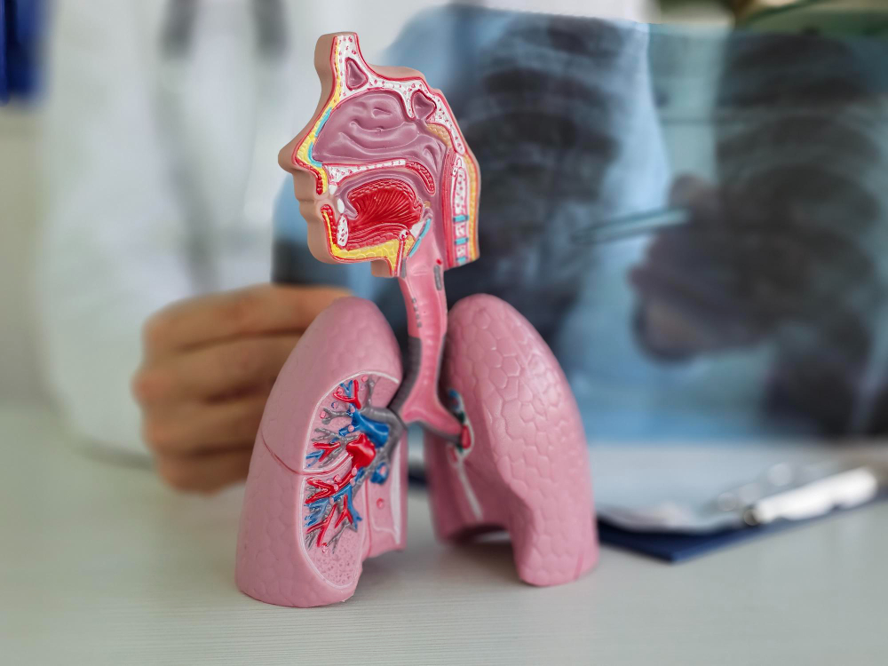 Pneumoperitoneul
